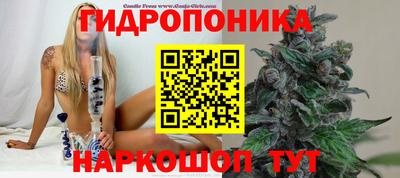синтетический гашиш Новозыбков