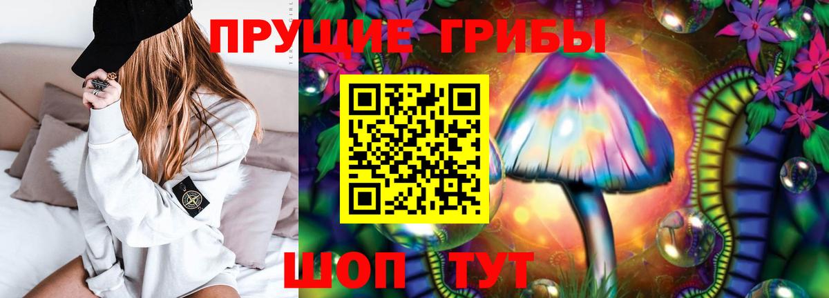 Псилоцибиновые грибы мицелий Фролово