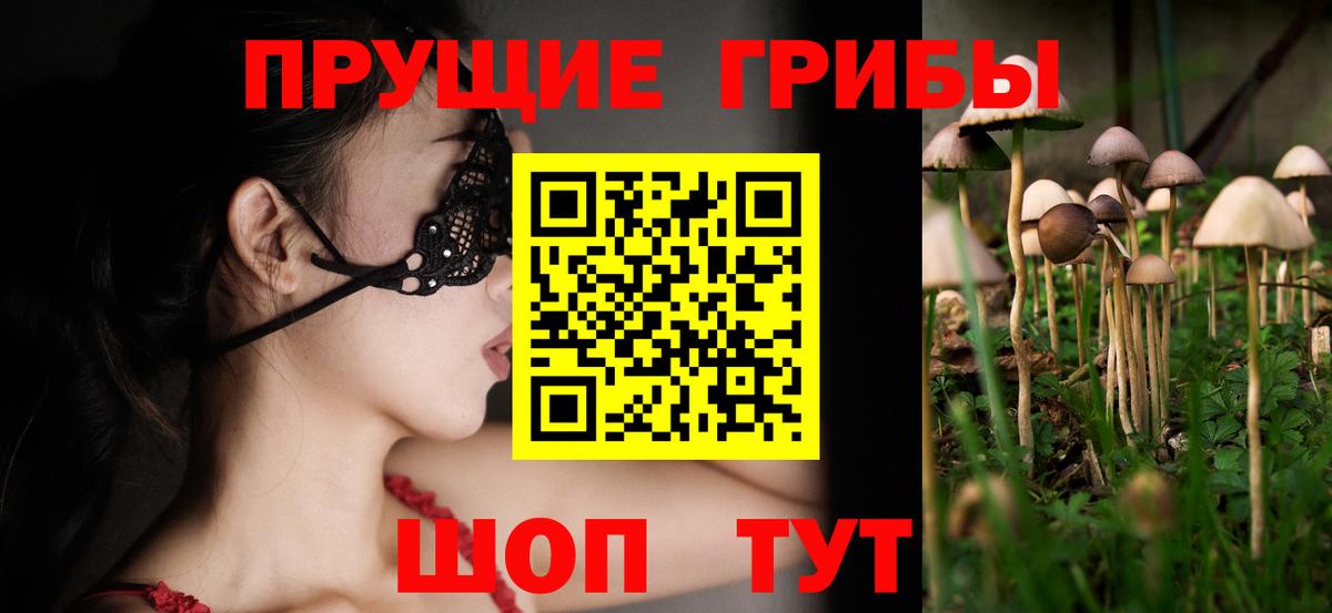 Фролово  Псилоцибиновые грибы Psilocybe  Вход с VPN 
